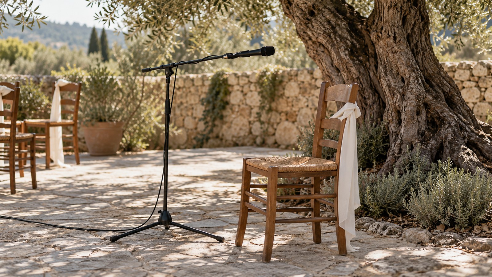 Microphone stand and neatly arranged cable beside an empty rustic ceremony chair under an olive tree.